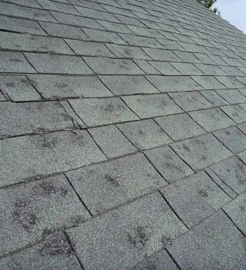 roof covered with numerous overlapping shingles