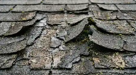 damaged residential roof shingles